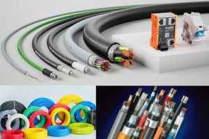 WhatsApp Image 2024-12-19 at 8.59.08 AM