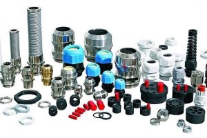 WhatsApp Image 2024-12-19 at 9.01.02 AM